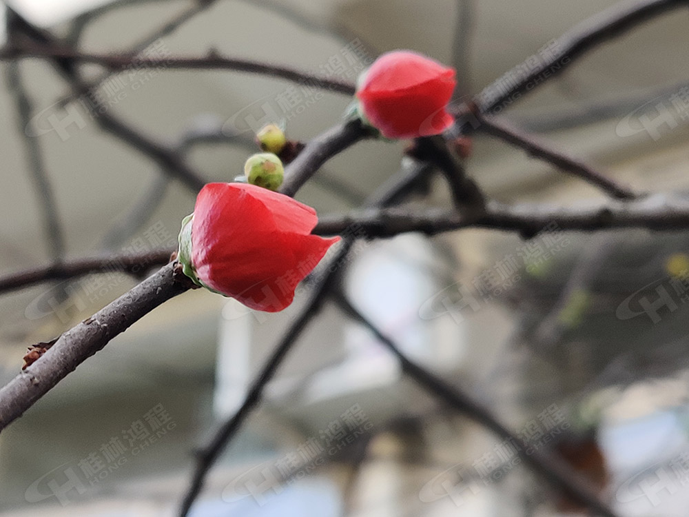 桂林鸿程花(huā)团锦簇，满园春色，邀您一起共赏春景，共商(shāng)大计！