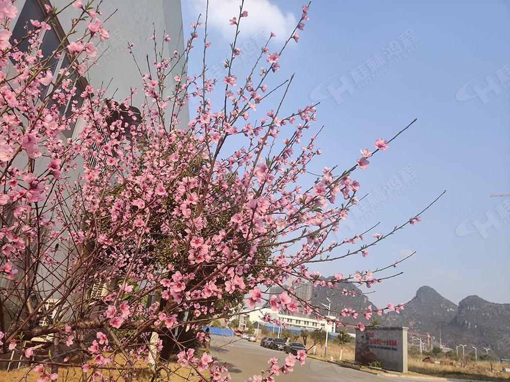 桂林鸿程花(huā)团锦簇，满园春色，邀您一起共赏春景，共商(shāng)大计！